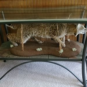 Meet your Posher, Darryl